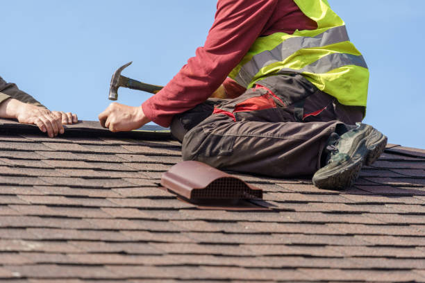 Best Gutter Installation and Roofing  in Citronelle, AL