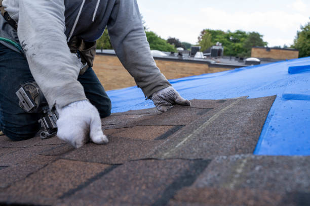 Best Storm Damage Roof Repair  in Citronelle, AL